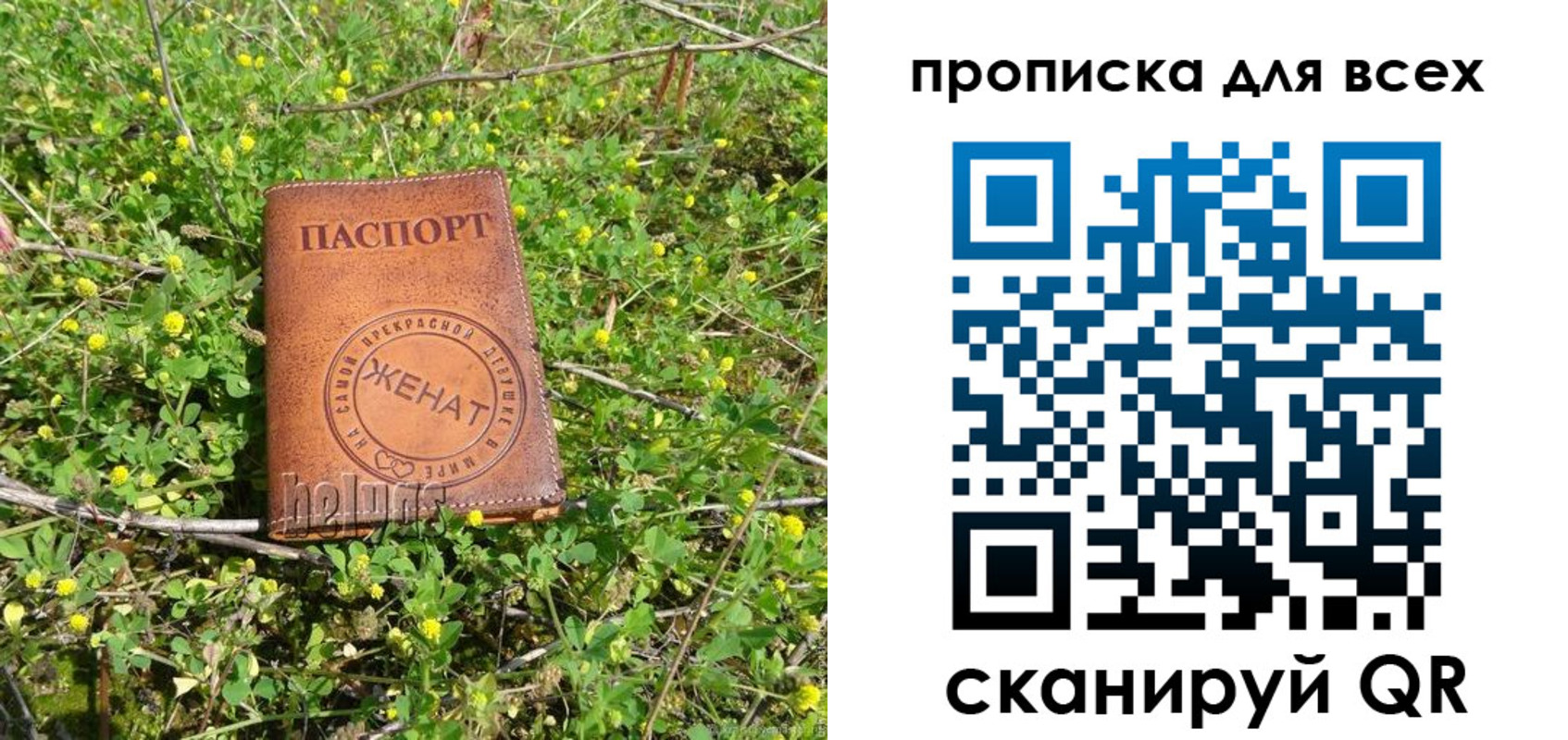 прописка поиск в Семикаракорске